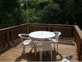 1925 King Springs Road Johnson City, TN 37601 - Photo 20 of 24 deck overlooking ck