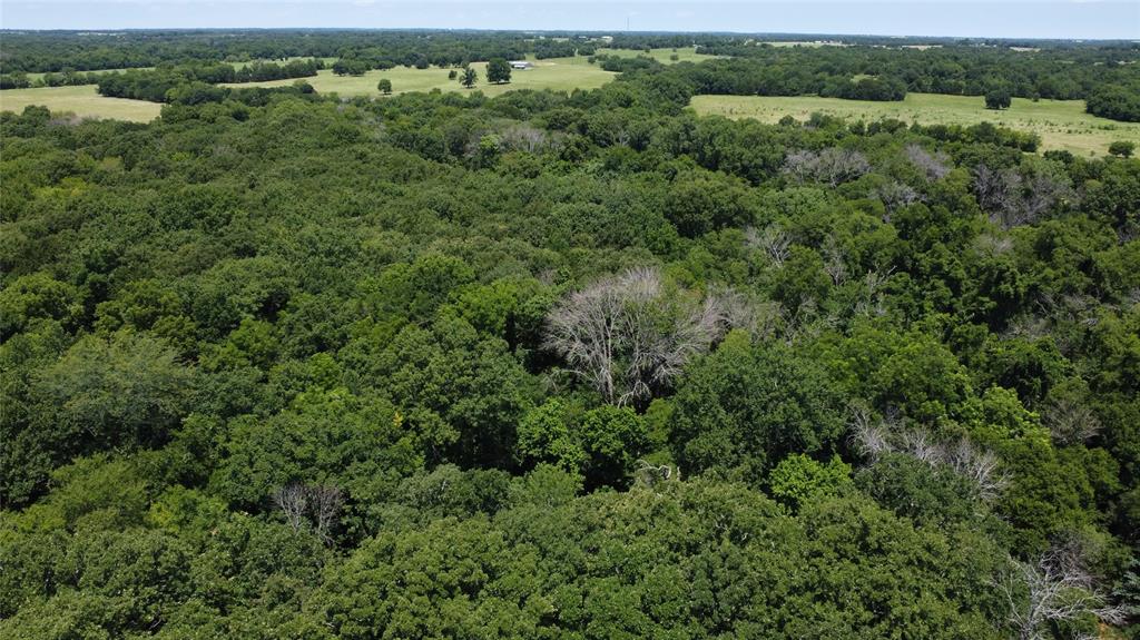 527 Copperas Road Sadler, TX 76264 - Photo 17 of 27