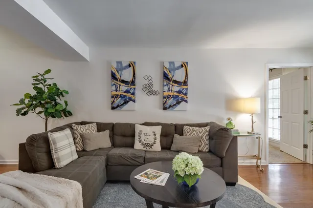 a living room with furniture and a potted plant