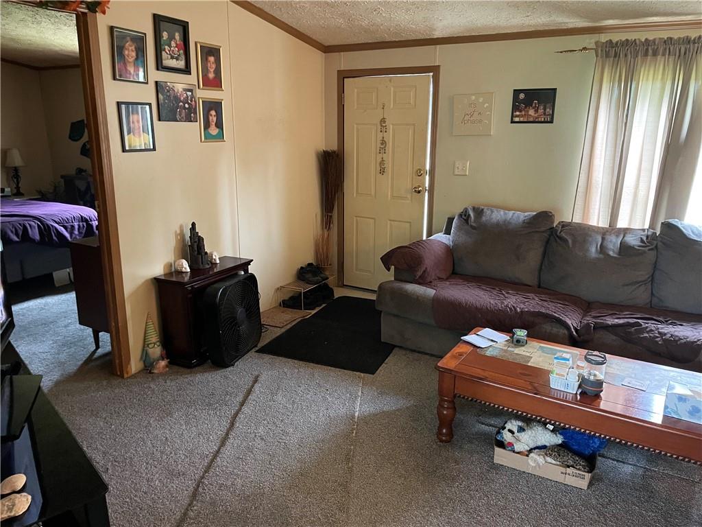 45-47 Ray Road Greenville, PA 16125 - Photo 12 of 15 a living room with furniture and a window