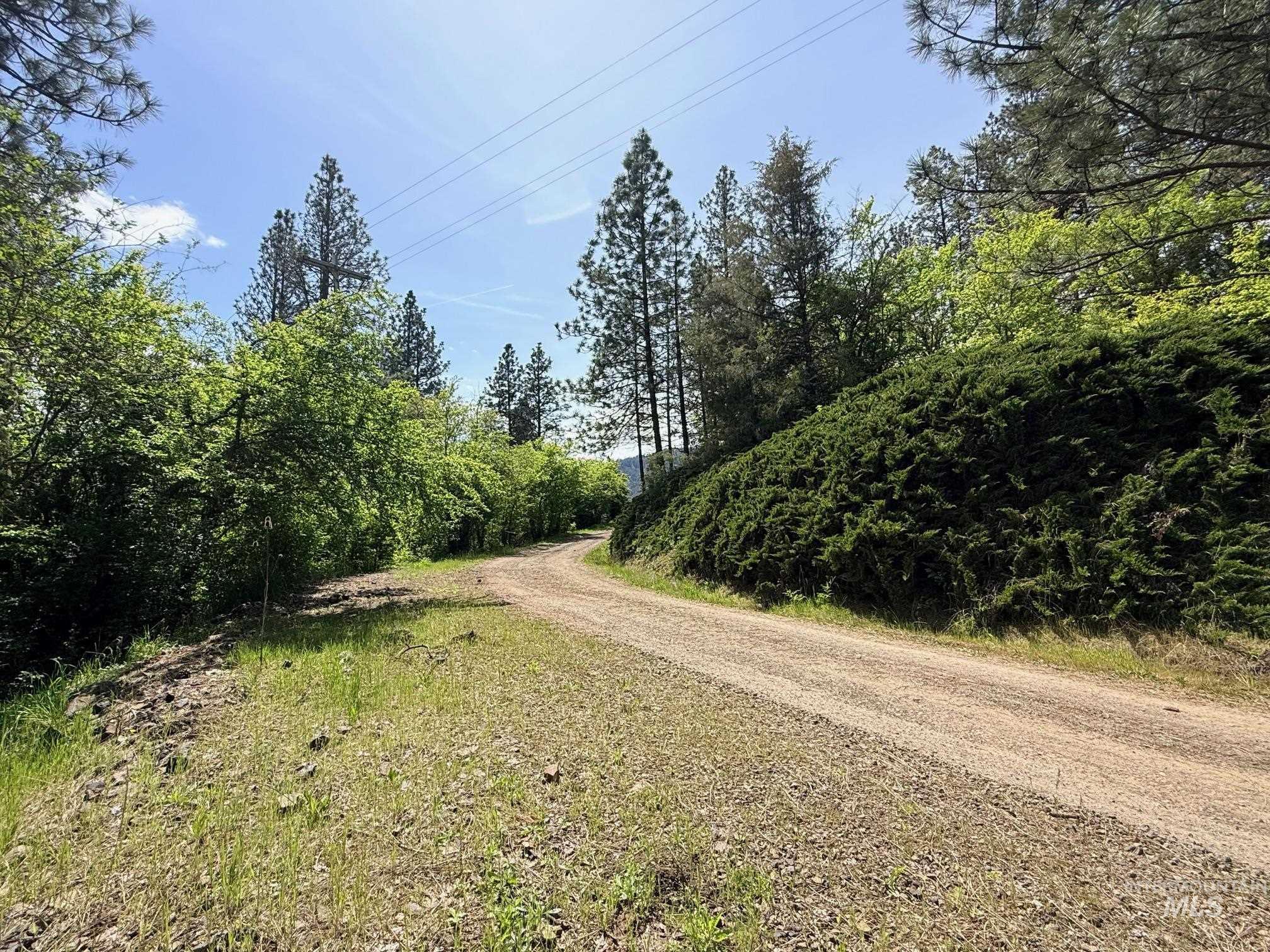 620 Old Peck Grade Lenore, ID 83541 - Photo 35 of 45