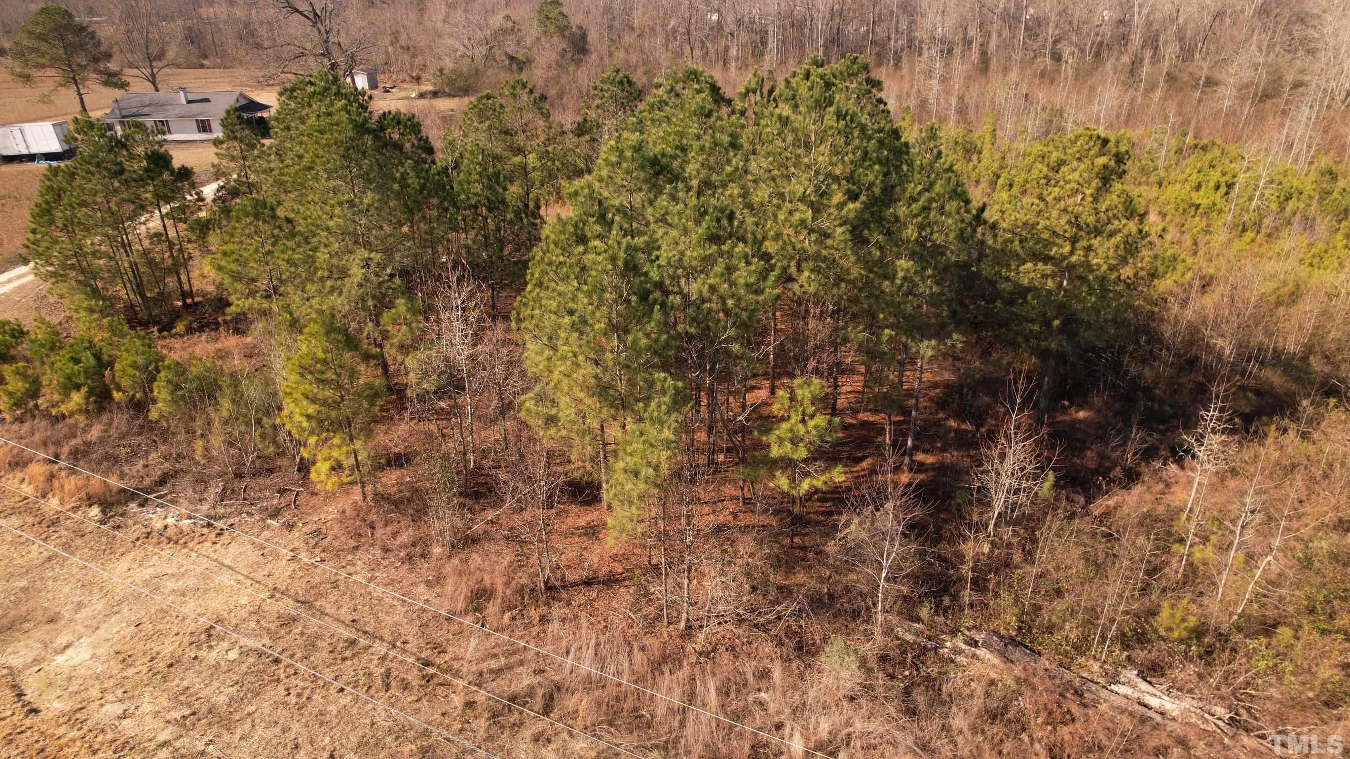 1809 Bailey Road Coats, NC 27521 - Photo 3 of 25 Gallery Image 3