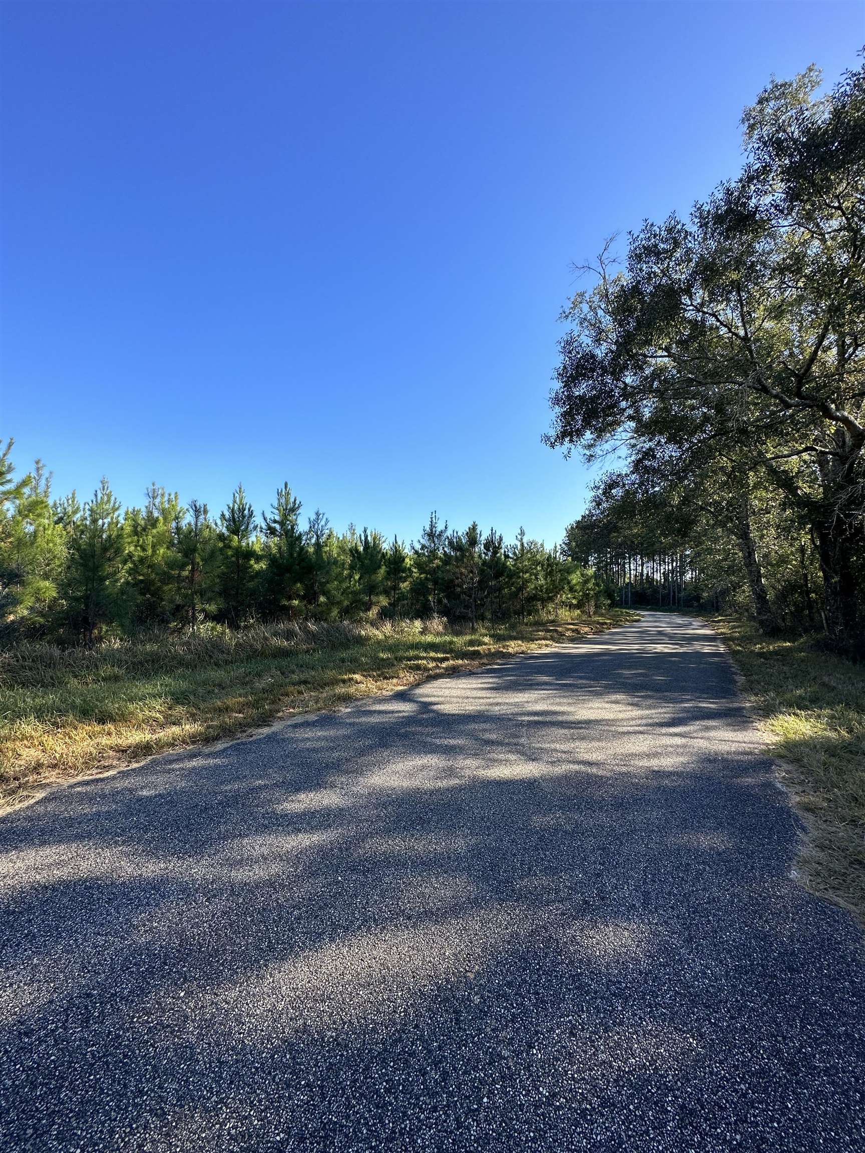 0 Day Road Robertsdale, AL 36567 - Photo 6 of 8