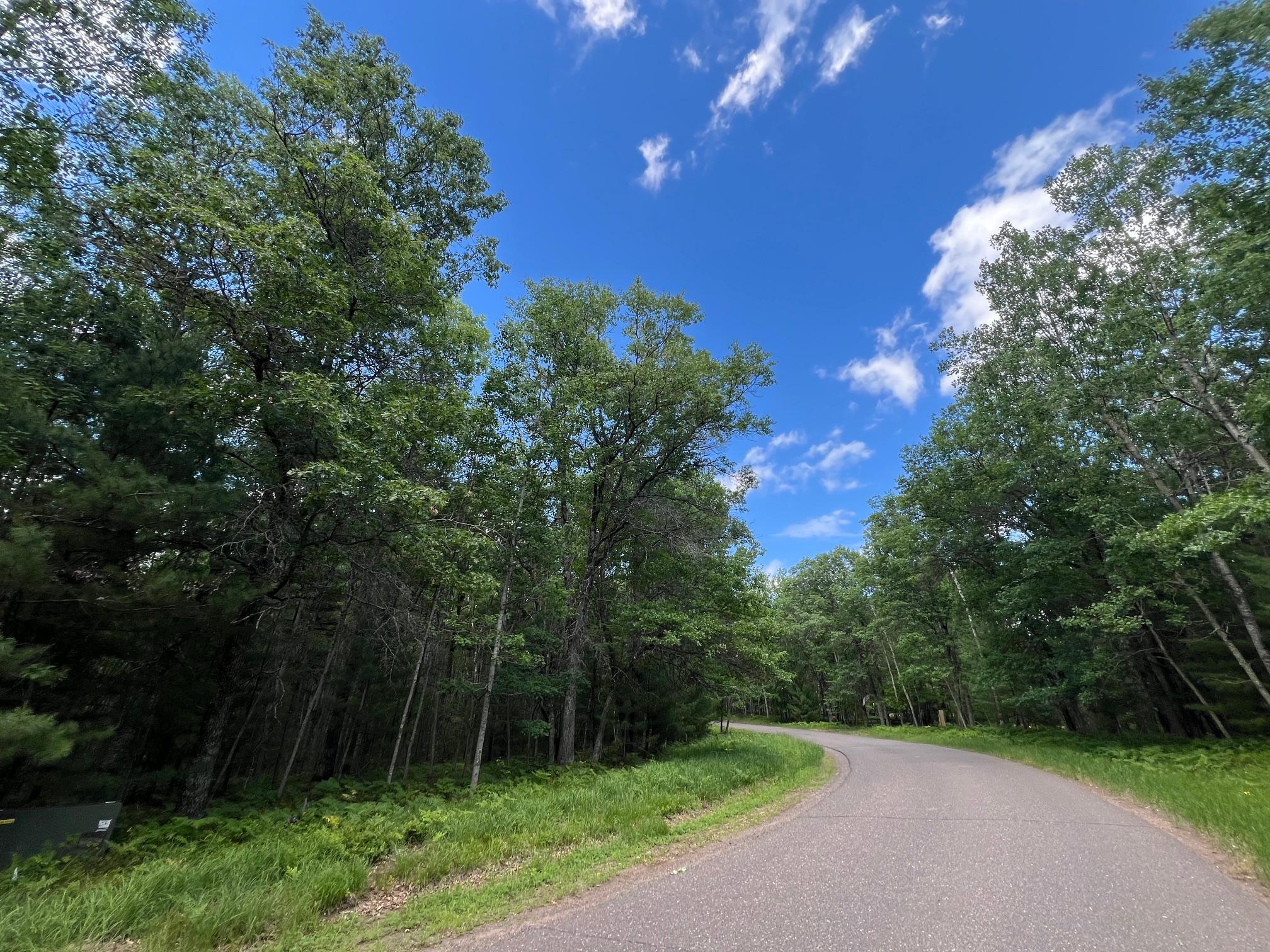 Lot 15 Loon Lake Road Danbury, WI 54830 - Photo 4 of 20