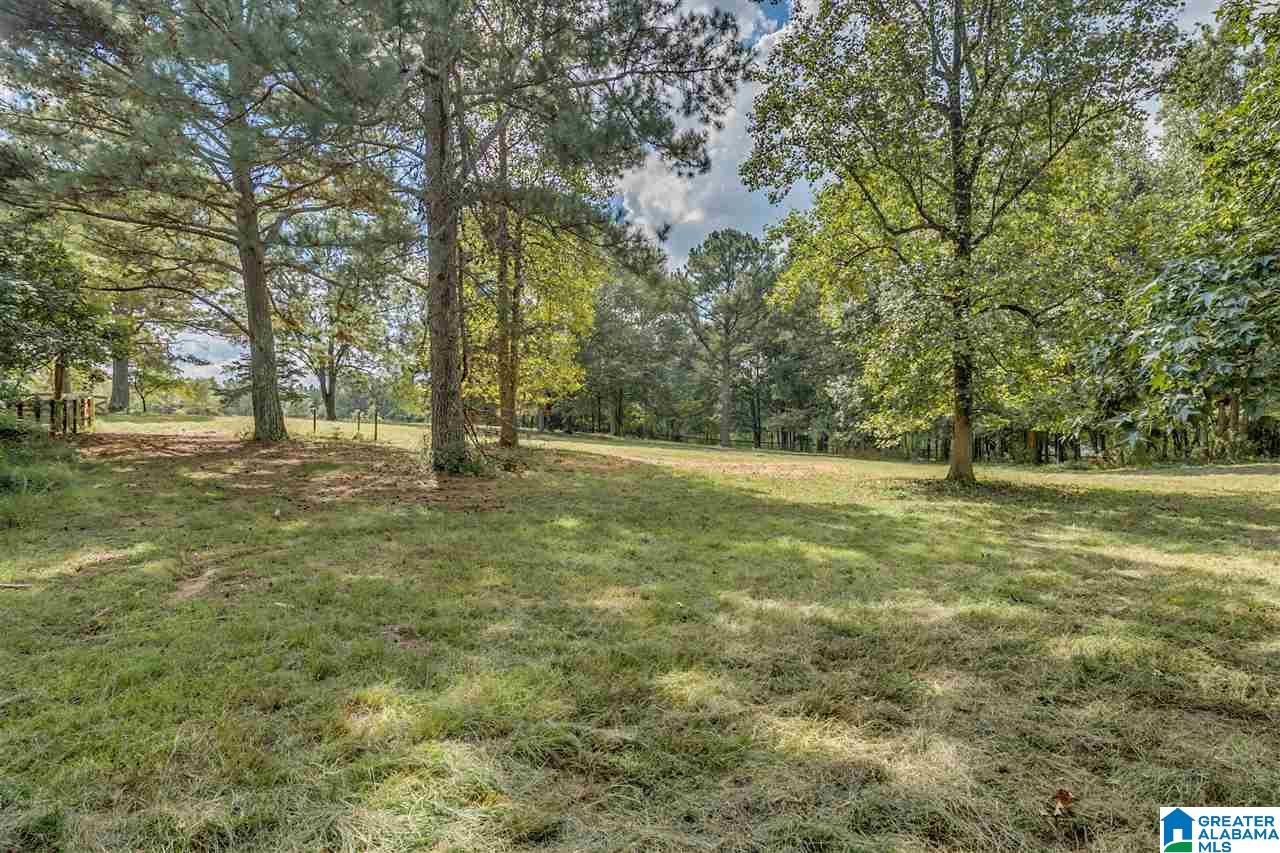 810 Griffin Road Chelsea, AL 35043 - Photo 45 of 50