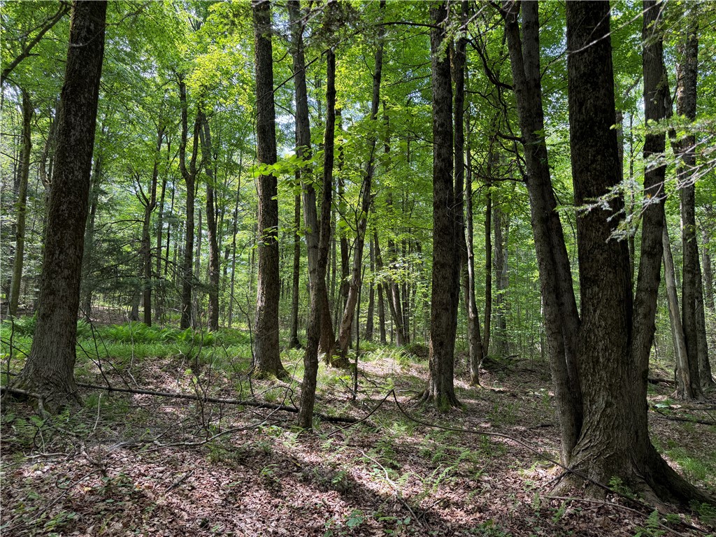 Vl 106 Road Alma, NY 14708 - Photo 25 of 36 Gallery Image 25