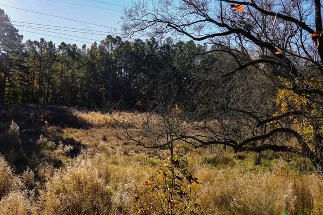 a backyard of a house