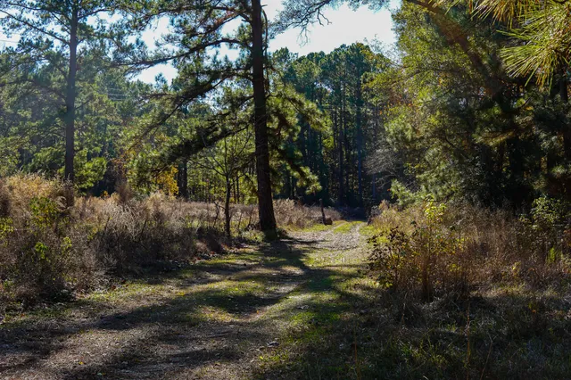a view of house with outdoor space