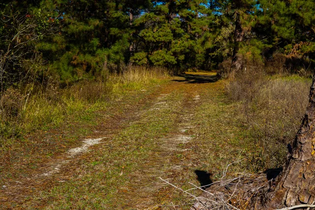 a view of a bathroom