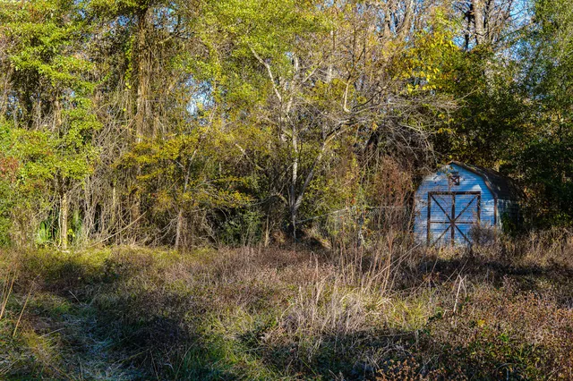 a view of a lush green field