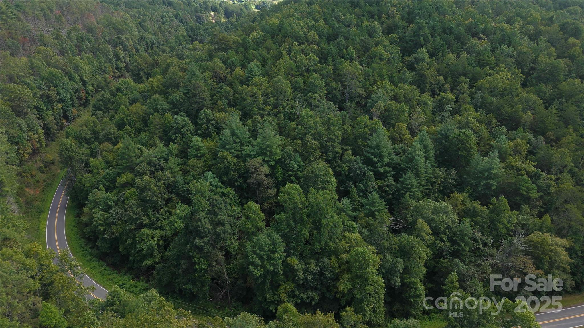 Off Lavender Road Old Fort, NC 28762 - Photo 3 of 8 an aerial view of residential house with outdoor space and trees all around