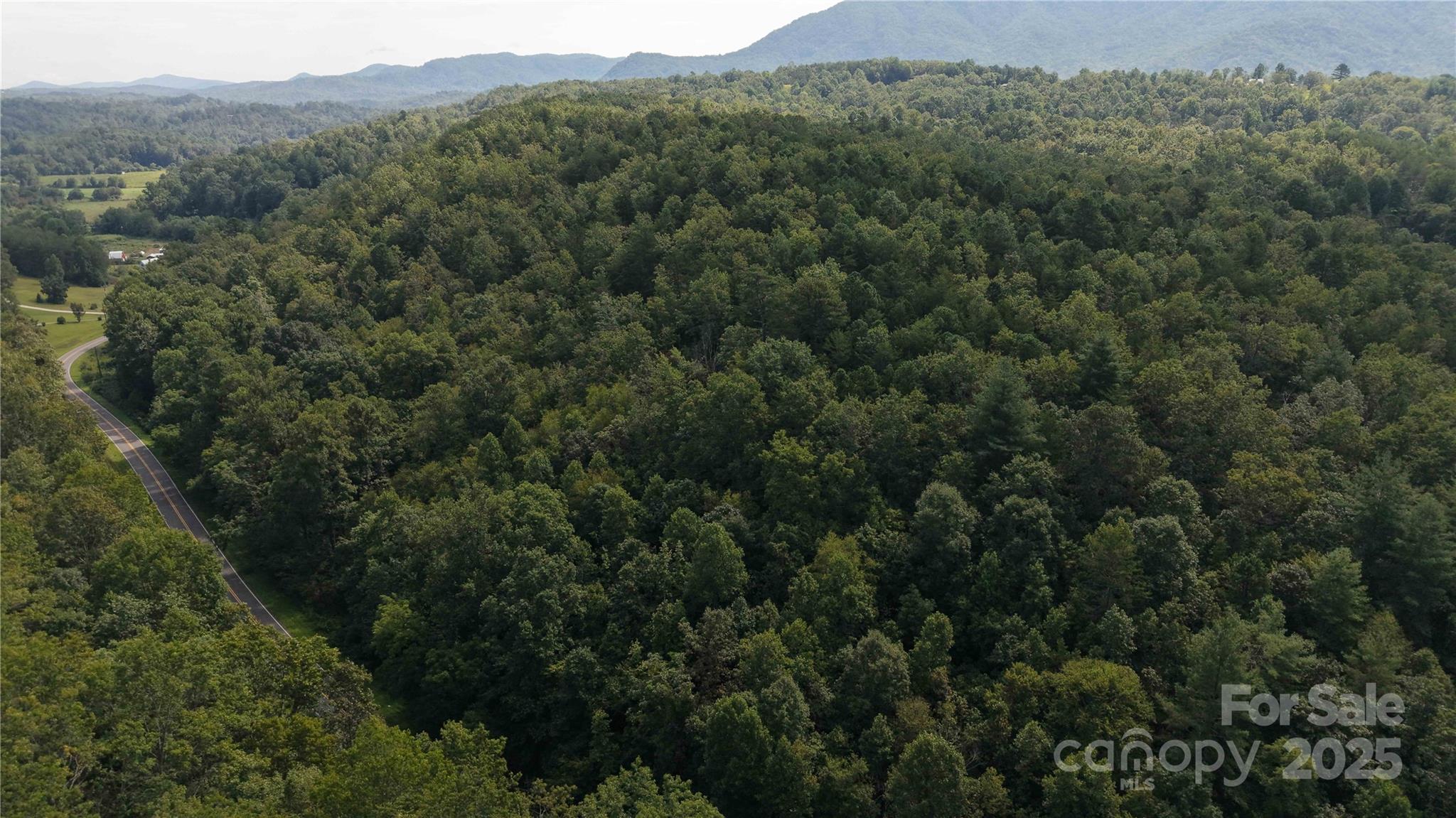 Off Lavender Road Old Fort, NC 28762 - Photo 4 of 8 an aerial view of forest