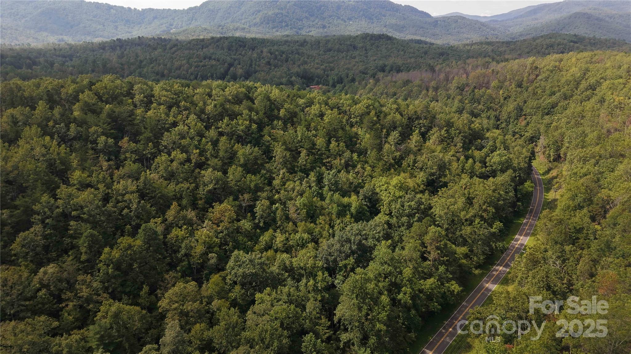 Off Lavender Road Old Fort, NC 28762 - Photo 6 of 8 a view of a lush green hillside and a houses