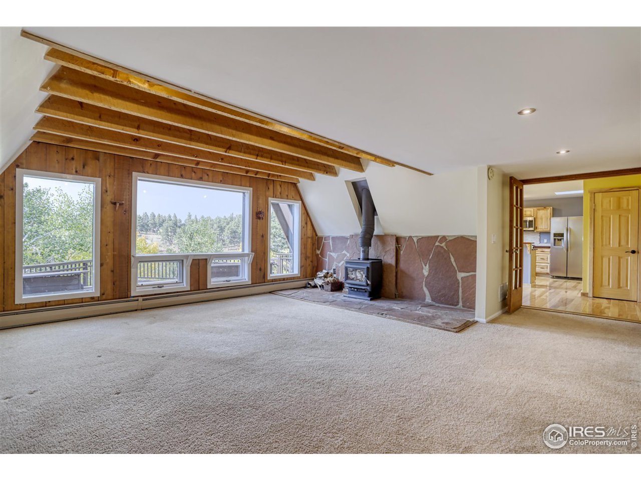 1290 Rock Lake Road Ward, CO 80481 - Photo 10 of 28 Living room