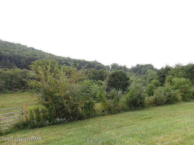 1 B Neola Road Stroudsburg, PA 18360 - Photo 4 of 5 P1010027