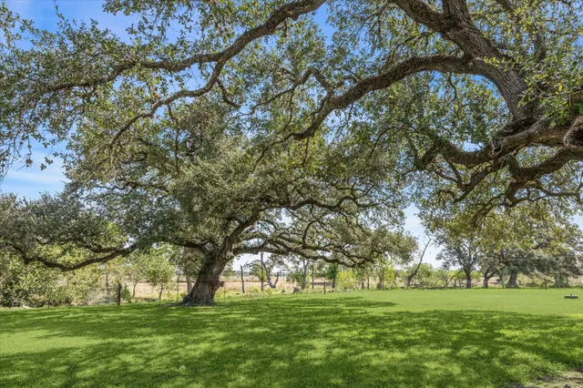 a view of a yard with a tree