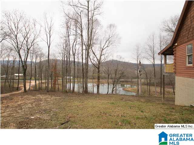 1540 County Road 39 Oneonta, AL 35121 - Photo 3 of 24