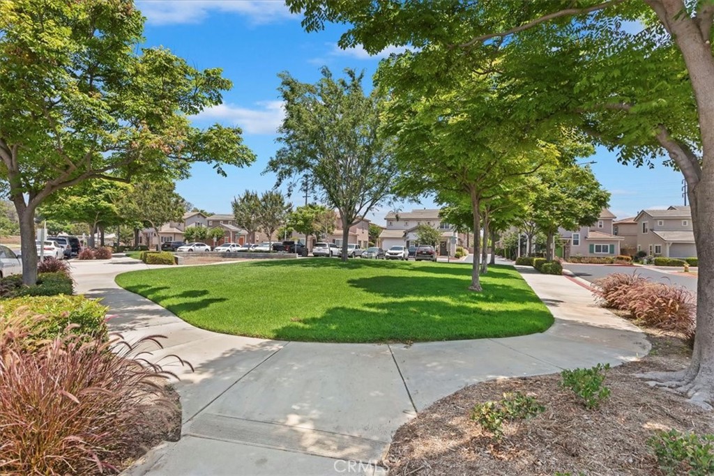 1339 Castledale Street Riverside, CA 92501 - Photo 31 of 32 a view of a park with large trees