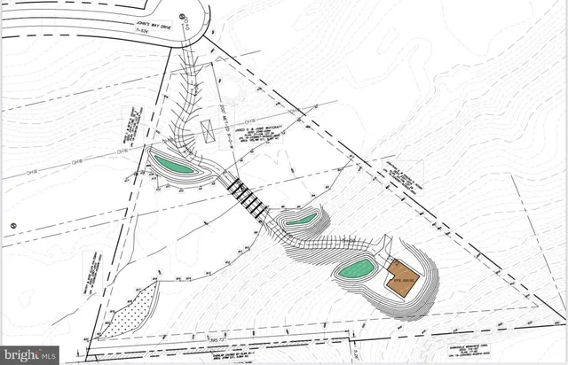 a view of a forest with trees