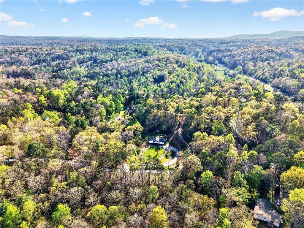 156 Dover Chapel Road Ellijay, GA 30540 - Photo 17 of 57