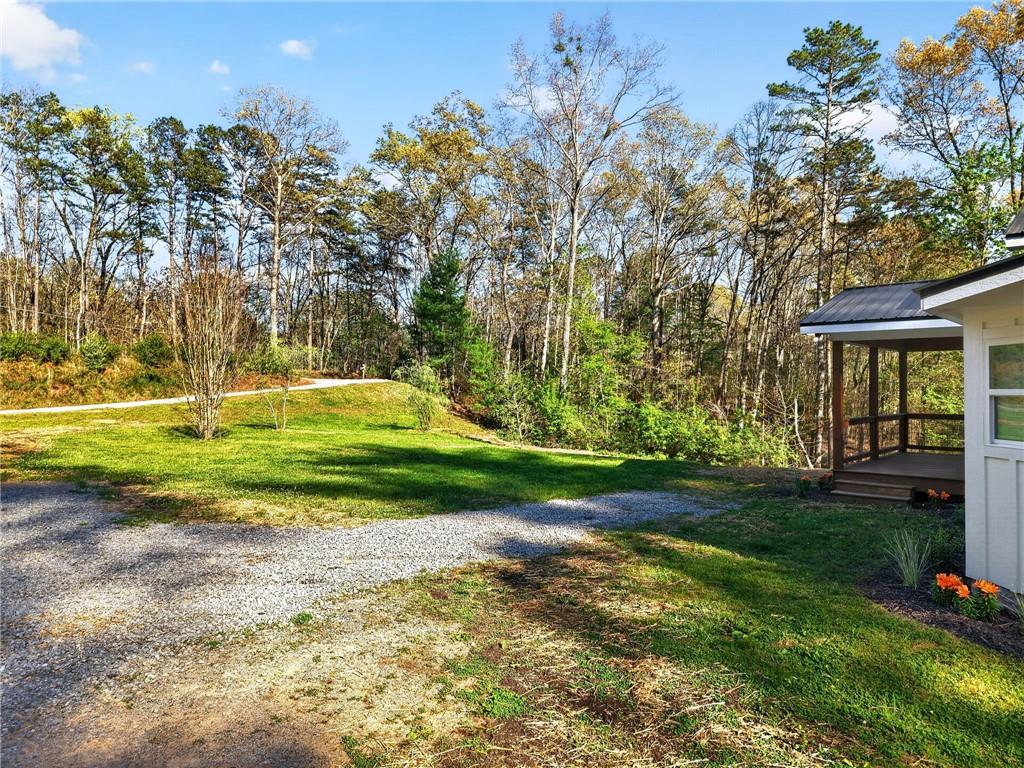 156 Dover Chapel Road Ellijay, GA 30540 - Photo 19 of 57