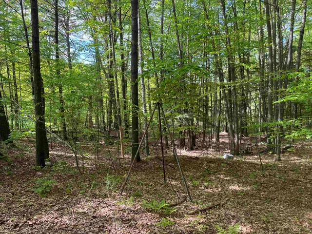 $150,000 | 37 Fred Houghton Road, Putney, VT 05346