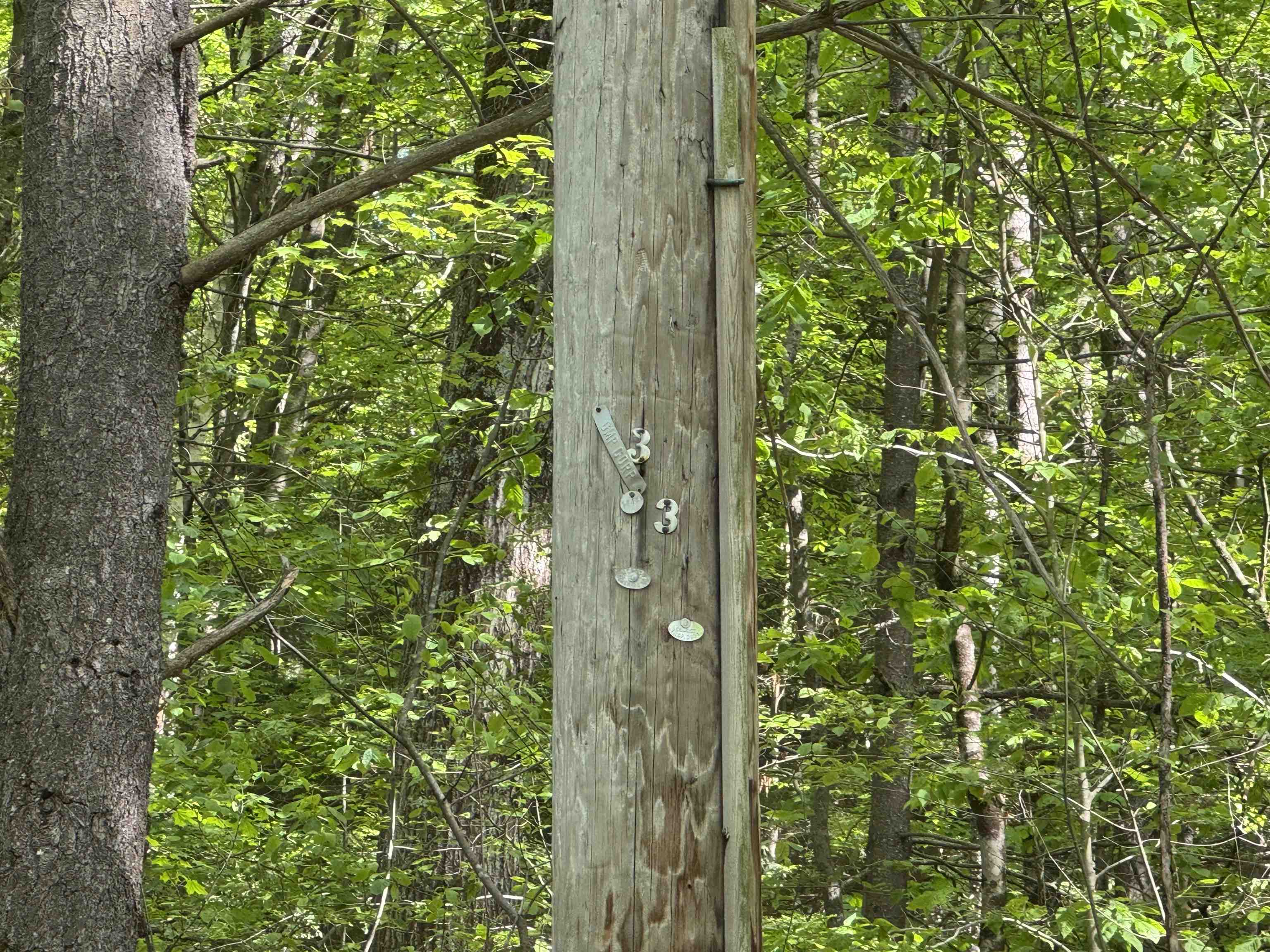 37 Fred Houghton Road Putney, VT 05346 - Photo 12 of 17