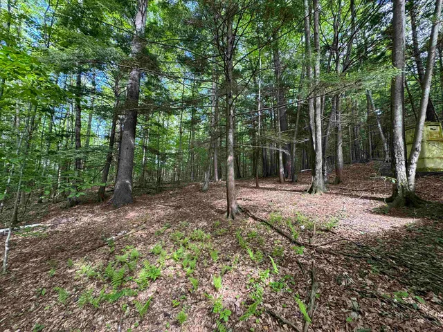 $150,000 | 37 Fred Houghton Road, Putney, VT 05346