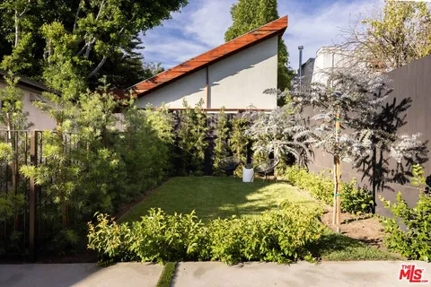 a view of a yard with plants