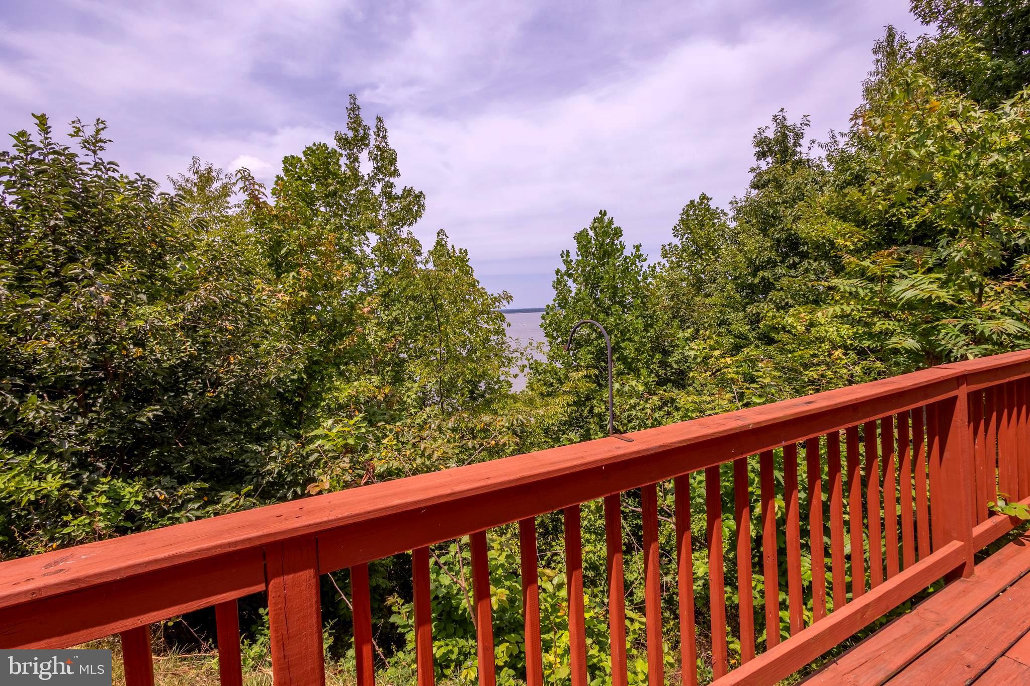 15466 Arthur Road King George, VA 22485 - Photo 44 of 46 Back Deck View of Trees & Potomac River