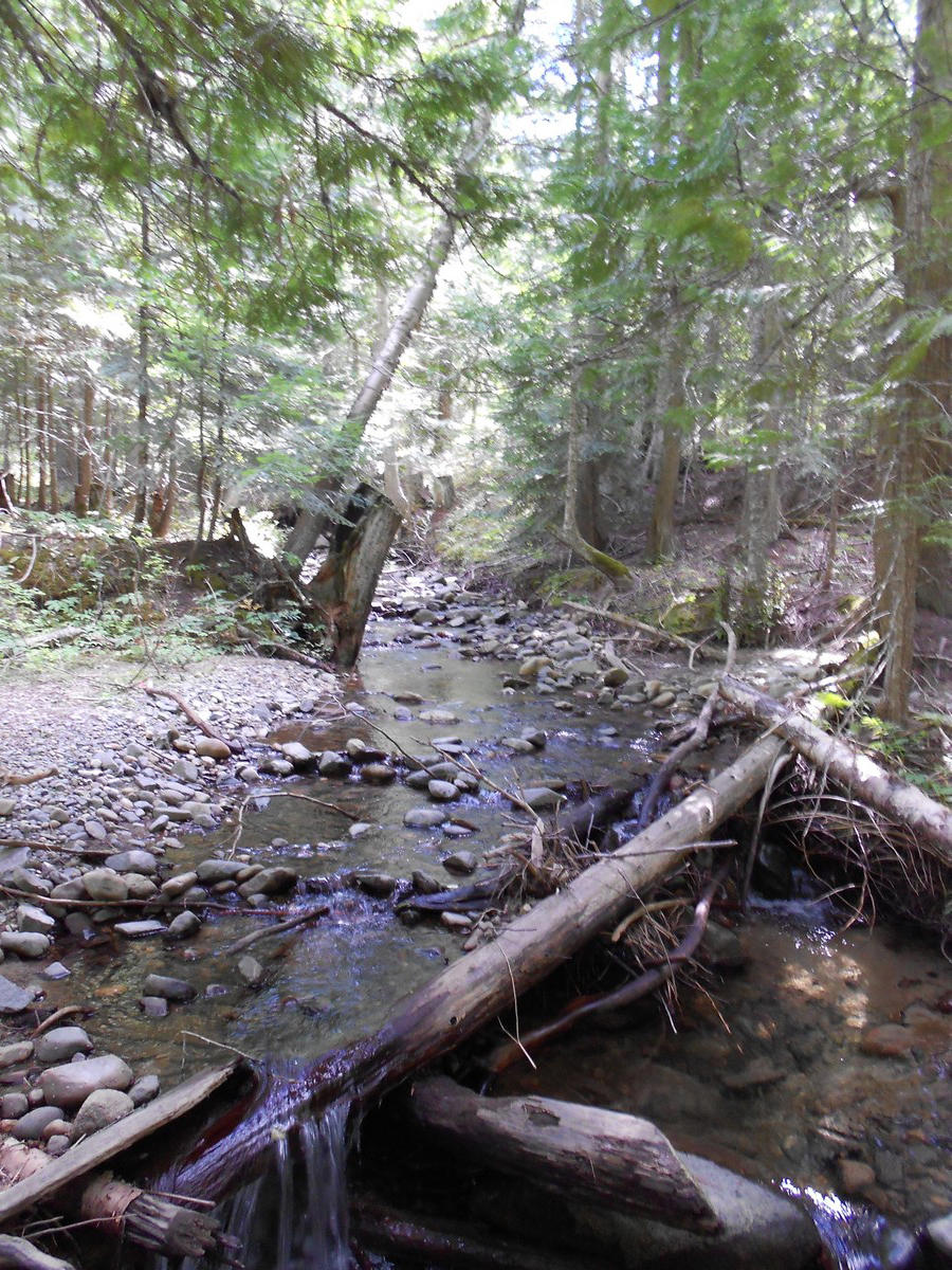 Twenty Mile Creek Road Naples, ID 83847 - Photo 1 of 1 2013-08-30 11.38.34