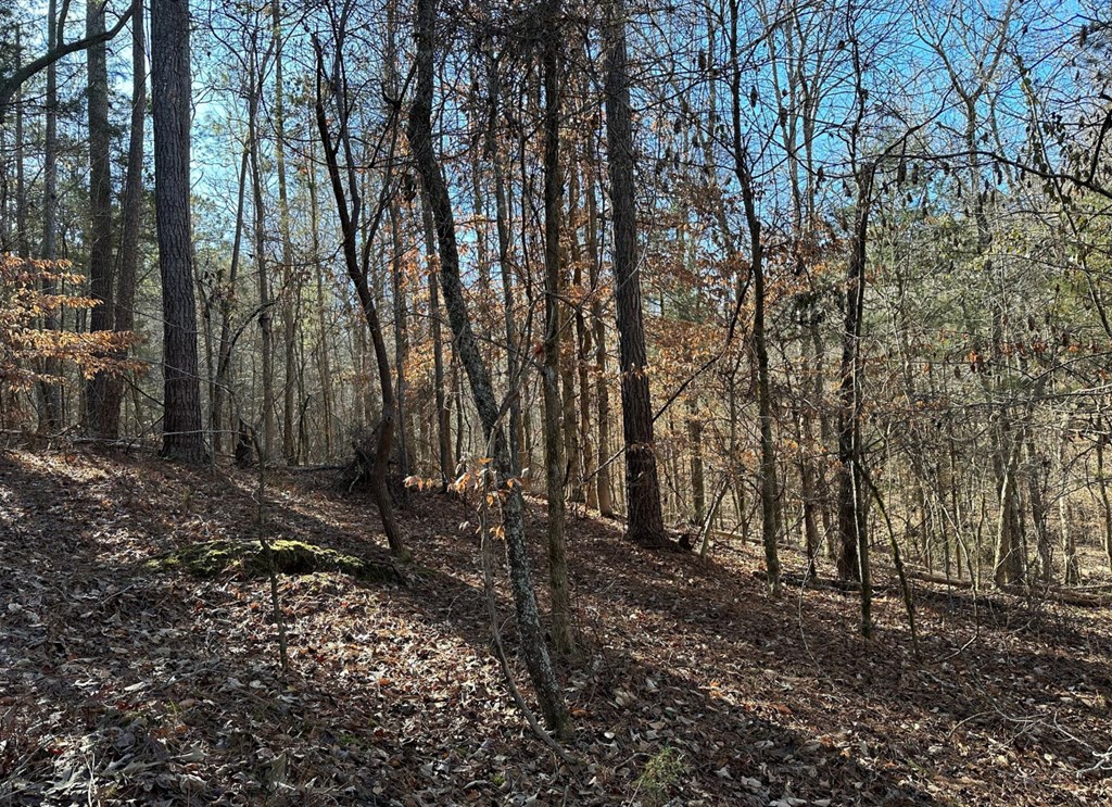 0 Terrapin Pointe Road Hodges, SC 29653 - Photo 9 of 16