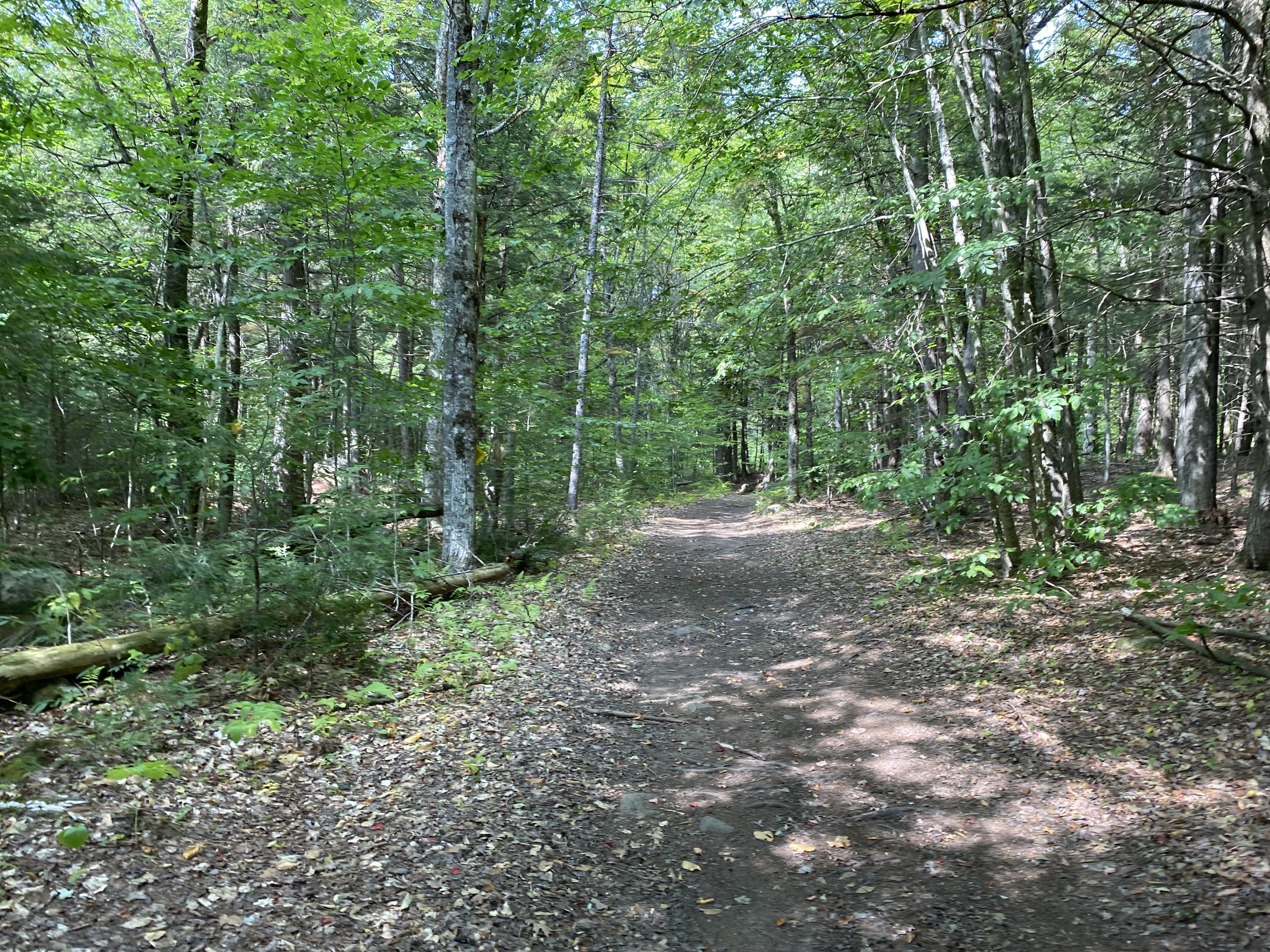 6-082 Lomie Rivers Road Jay, ME 04239 - Photo 33 of 43 Photo Sep 16, 12 54 37 PM