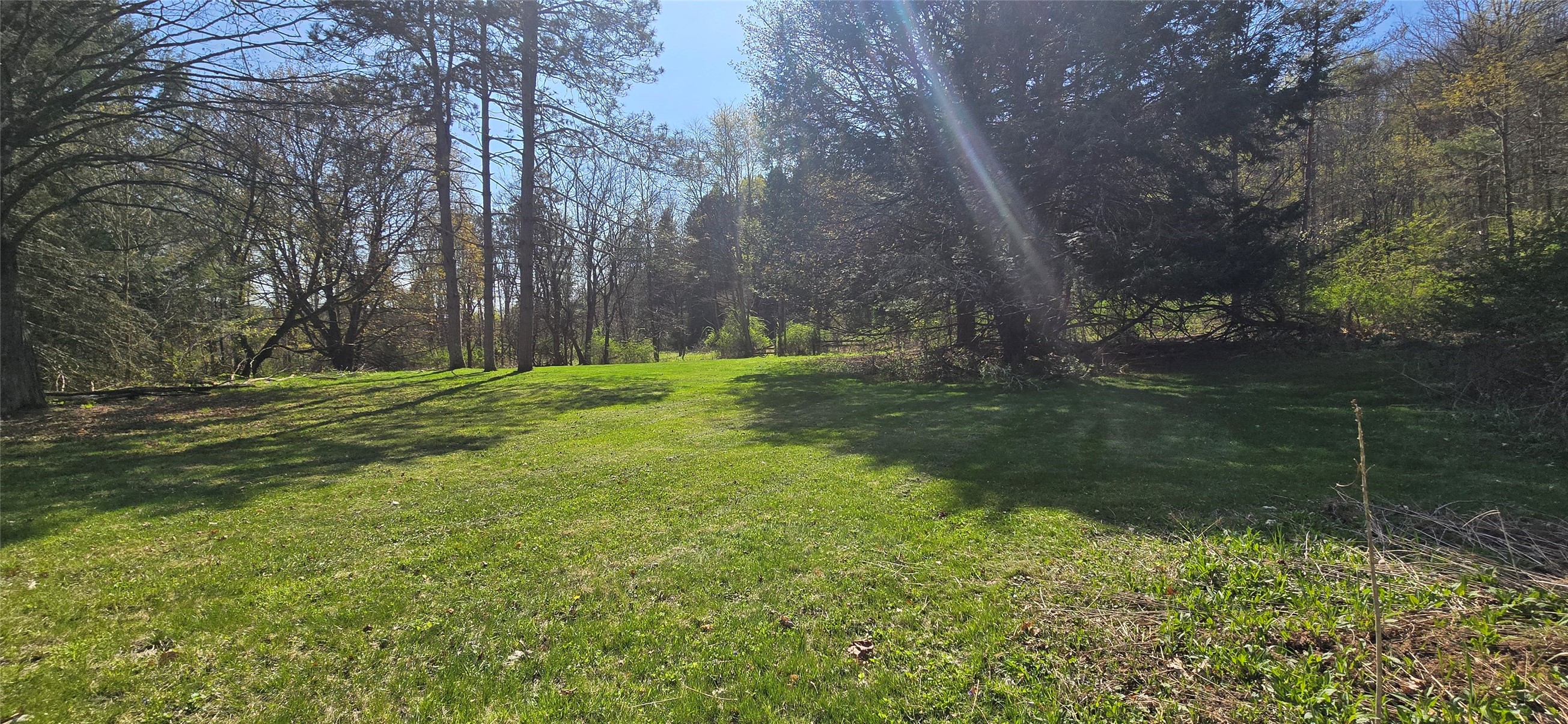 129 Palmer Curtis Road Greene, NY 13778 - Photo 10 of 37
