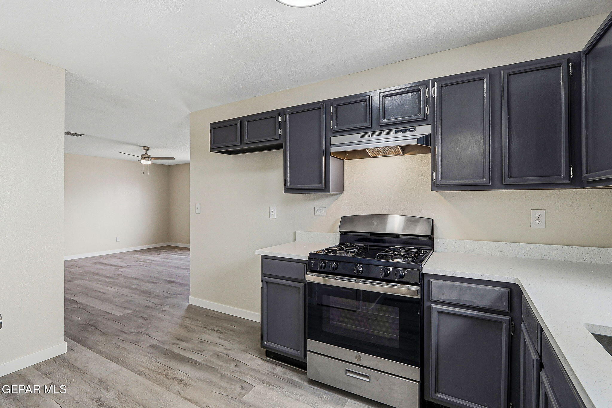 12500 Tierra Norte Road El Paso, TX 79938 - Photo 12 of 32 10-web-or-mls-IMG_7790
