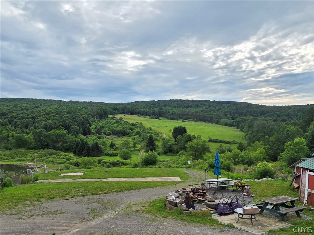 500 Farnham Road Sanford, NY 13865 - Photo 5 of 50 Gallery Image 5