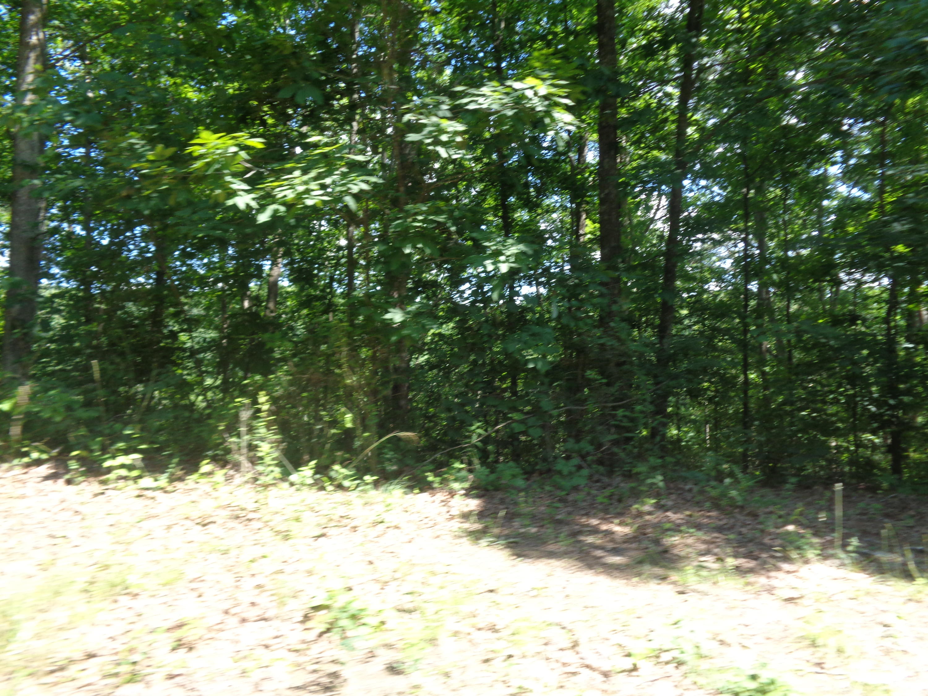 100 Rocky Point Road East Bernstadt, KY 40729 - Photo 12 of 26 DSC04923