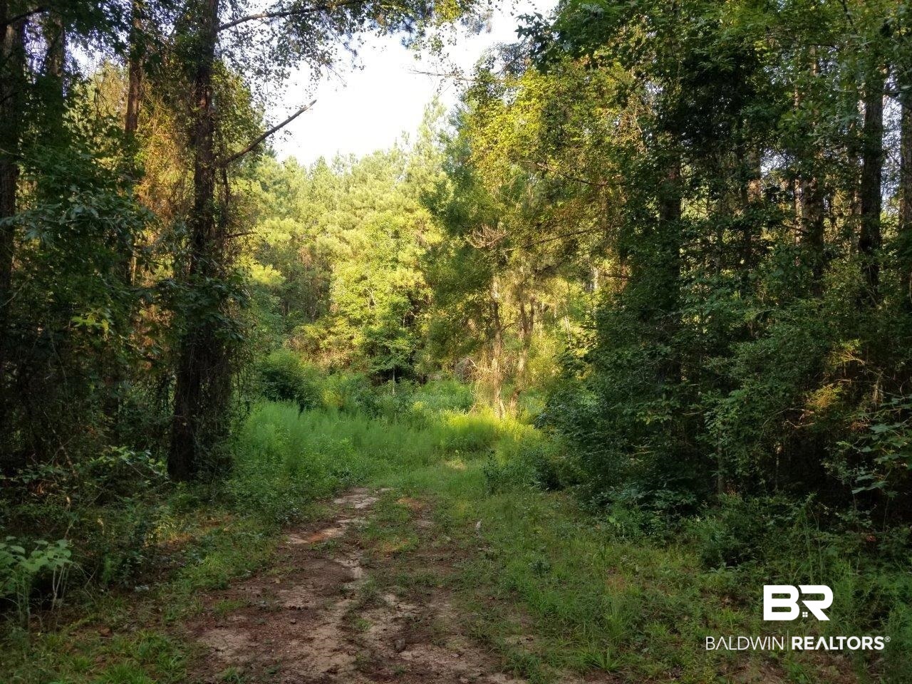 0 Jerkins Loop Atmore, AL 36502 - Photo 39 of 50