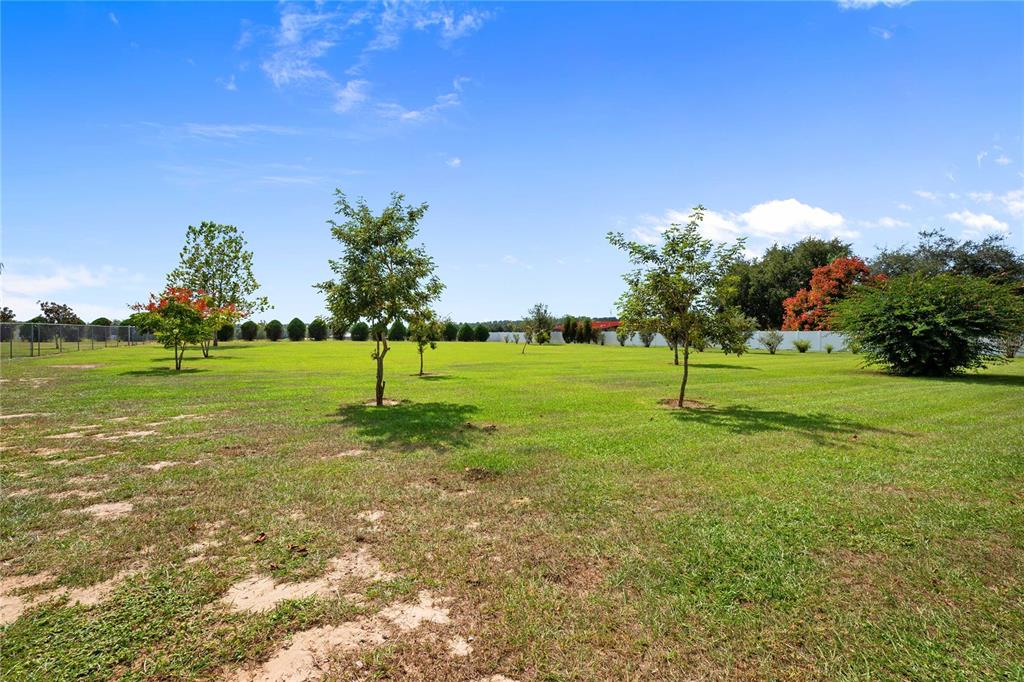 10314 Lamson Road Dade City, FL 33525 - Photo 31 of 46 Gallery Image 31