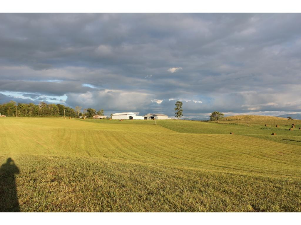 0 South Liberty Hill Road Chuckey, TN 37641 - Photo 8 of 11 Photo 8