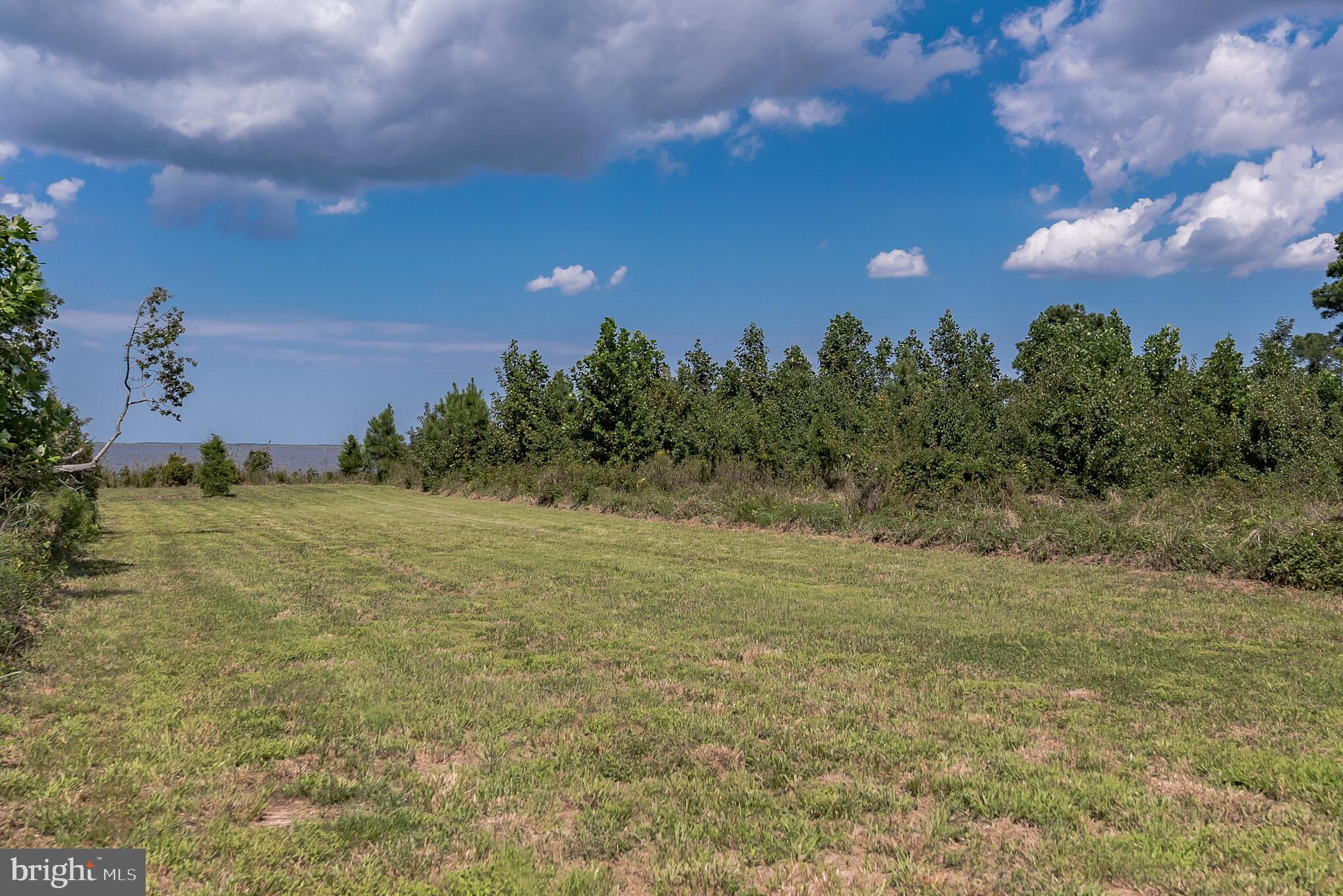 2232 Elliott Island Road Vienna, MD 21869 - Photo 6 of 23