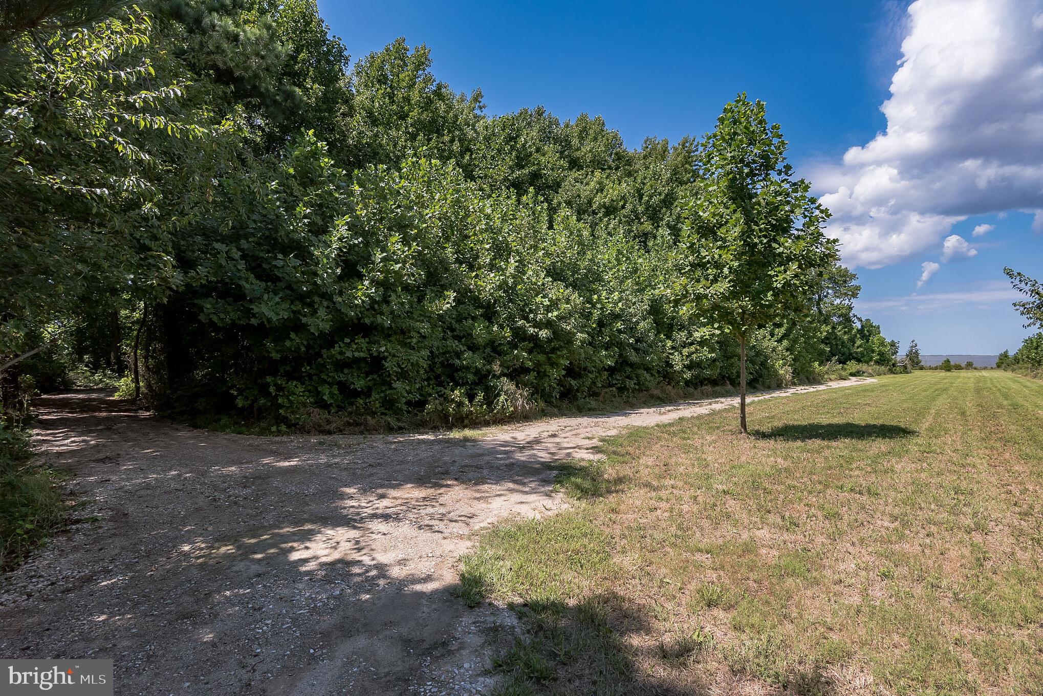 2232 Elliott Island Road Vienna, MD 21869 - Photo 8 of 23