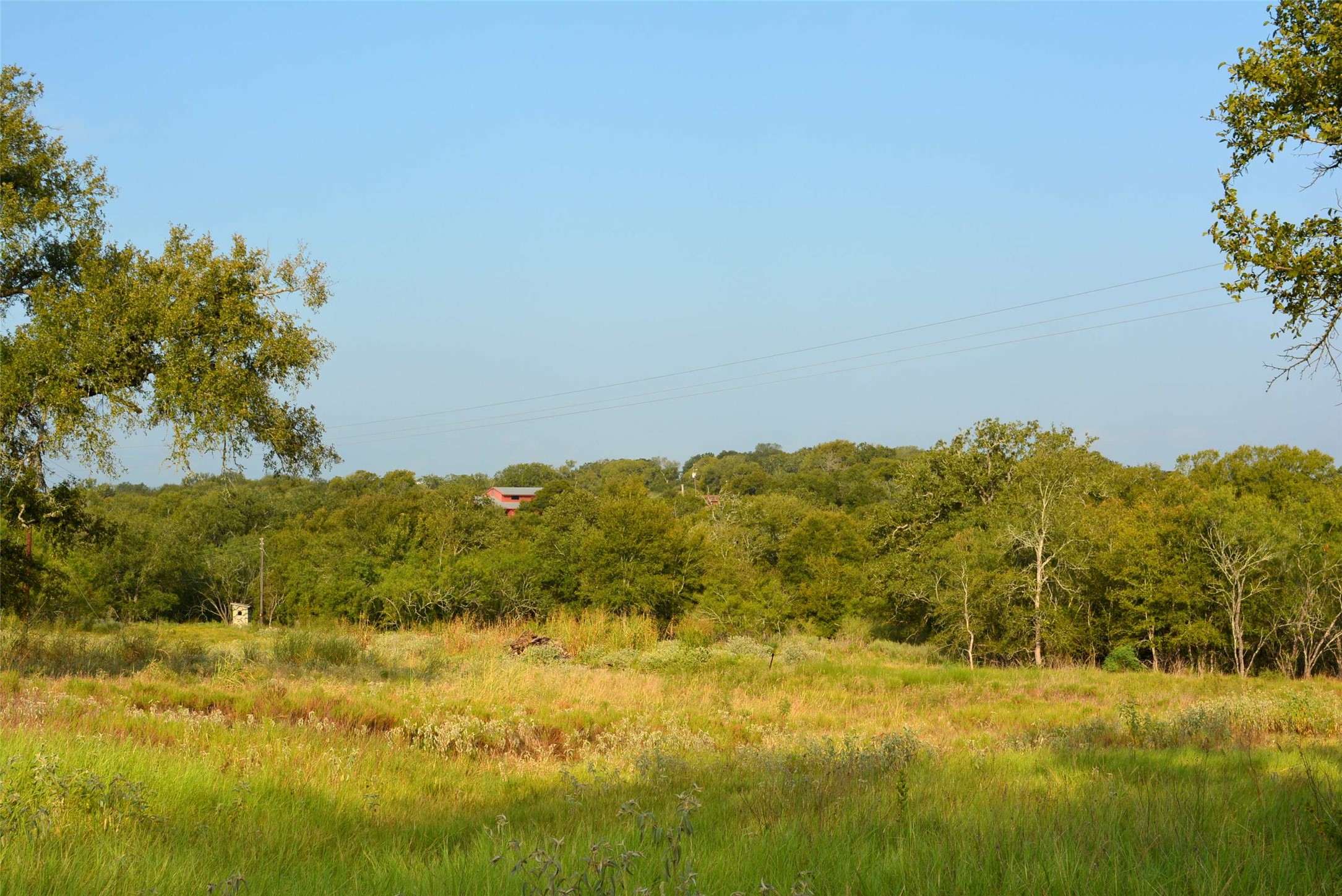 569 Burdette Wells Road Lockhart, TX 78644 - Photo 7 of 18 View towards neighboring property.