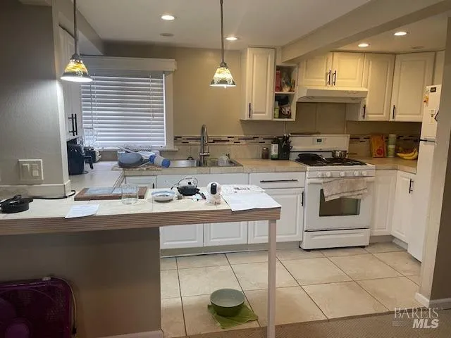 $1,195,000 | 505 Petaluma Boulevard North, Petaluma, CA 94952