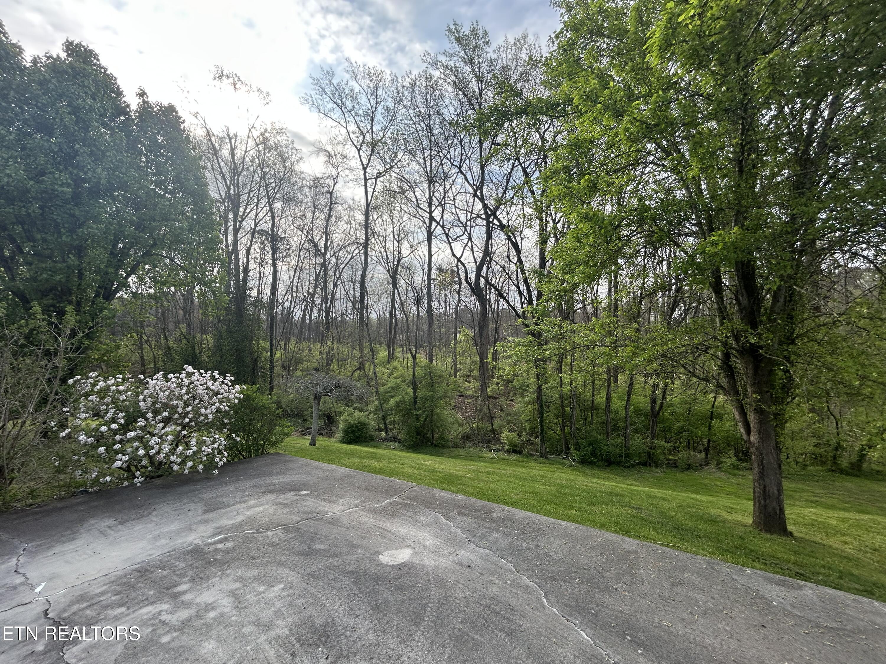 1325 Groseclose Road New Market, TN 37820 - Photo 6 of 30 IMG_4920