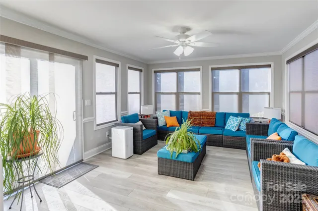 a living room with furniture and a potted plant