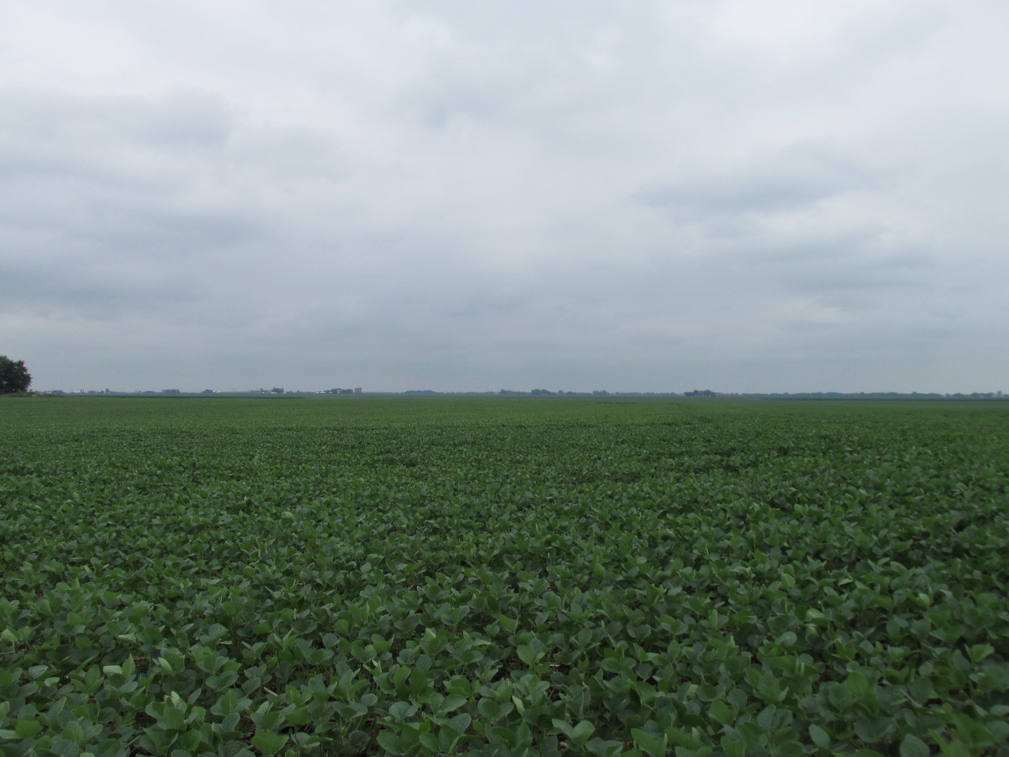 0 Chicago Road Sandwich, IL 60548 - Photo 6 of 7