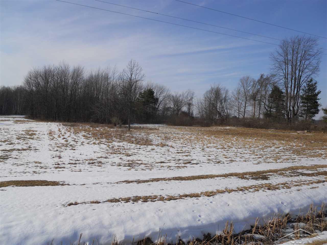8646 Barkley Road Millington, MI 48746 - Photo 47 of 51 31277365-46.JPG