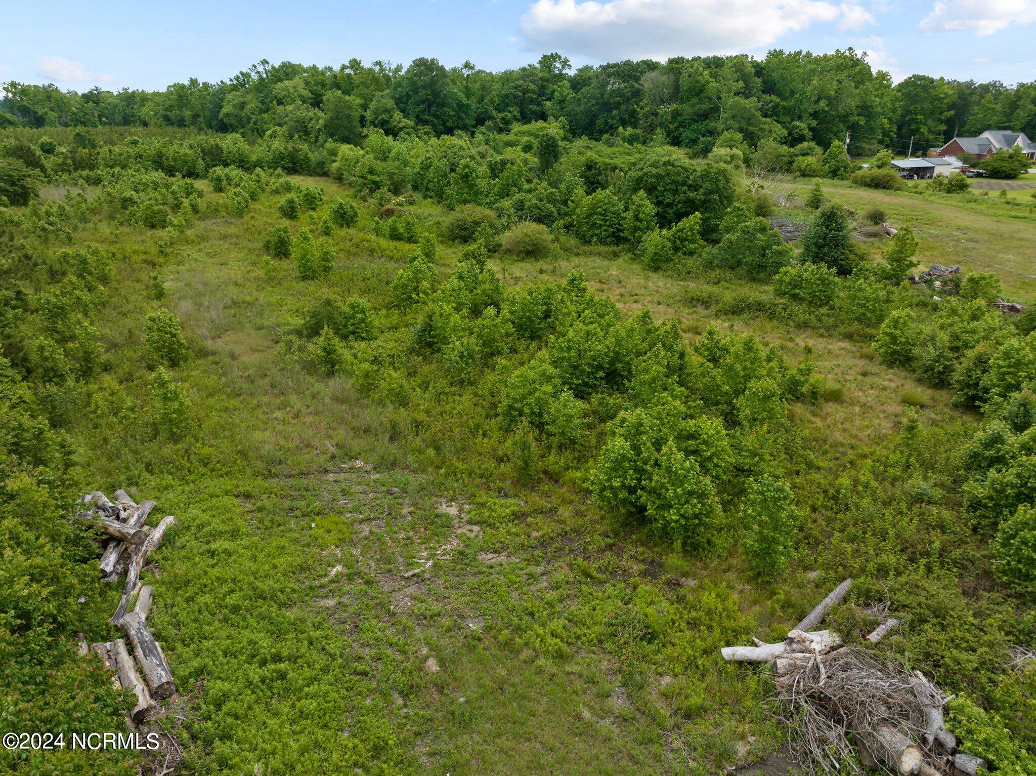 0 Doc Loftin Road Ayden, NC 28513 - Photo 11 of 13 11-web-or-mls-DJI_0298