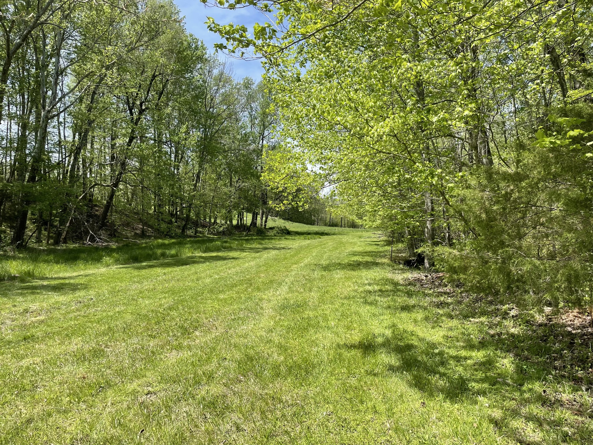 525 Means Road Byrdstown, TN 38549 - Photo 25 of 33 Gallery Image 25